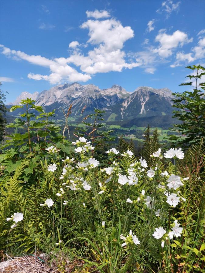 Schrockerhof Hotel Schladming